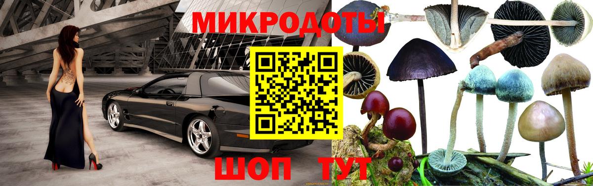 Галлюциногенные грибы прущие грибы  Вход с VPN  Коммунар 